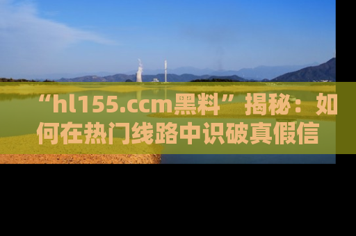 “hl155.ccm黑料”揭秘：如何在热门线路中识破真假信息