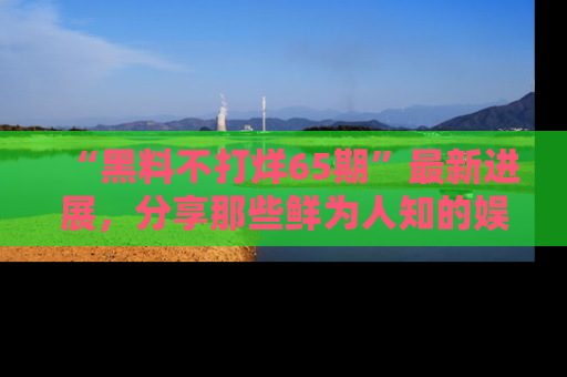 “黑料不打烊65期”最新进展，分享那些鲜为人知的娱乐八卦