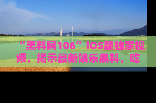 “黑料网106”iOS版独家视频，揭示最新娱乐黑料，吃瓜不停！