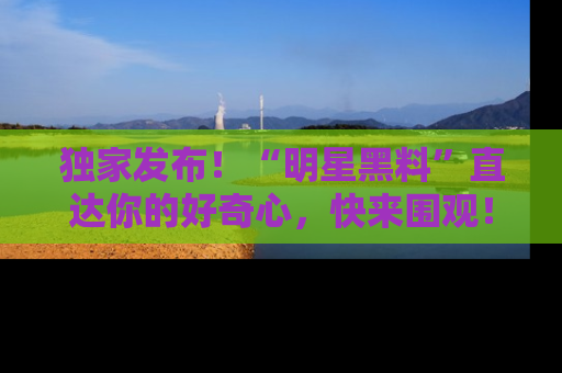 独家发布！“明星黑料”直达你的好奇心，快来围观！