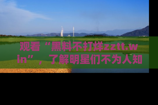 观看“黑料不打烊zztt.win”，了解明星们不为人知的黑料内幕