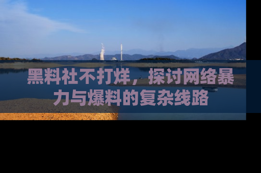 黑料社不打烊，探讨网络暴力与爆料的复杂线路
