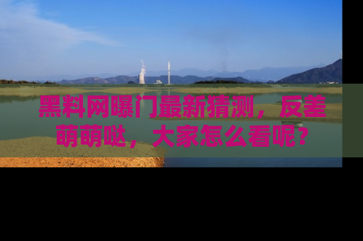 黑料网曝门最新猜测，反差萌萌哒，大家怎么看呢？