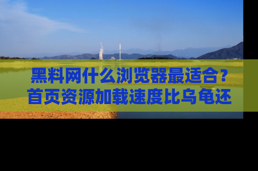 黑料网什么浏览器最适合？首页资源加载速度比乌龟还慢的体验真心吐槽！