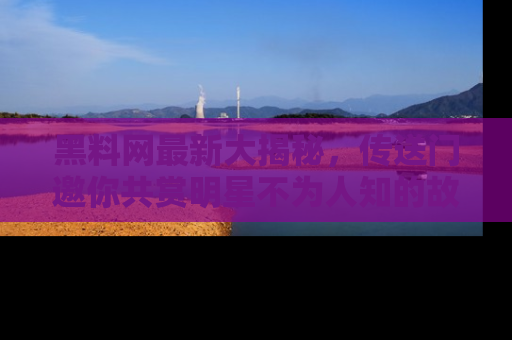 黑料网最新大揭秘，传送门邀你共赏明星不为人知的故事！