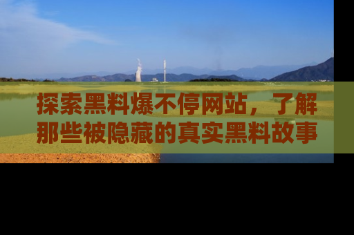 探索黑料爆不停网站，了解那些被隐藏的真实黑料故事