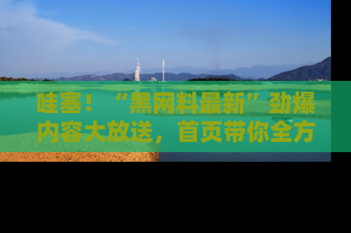 哇塞！“黑网料最新”劲爆内容大放送，首页带你全方位了解哦，小可爱们