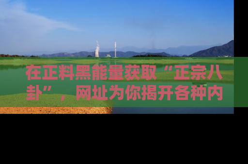 在正料黑能量获取“正宗八卦”，网址为你揭开各种内幕故事！