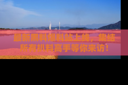 最新黑料爆料站上线，集结所有扒料高手等你来访！
